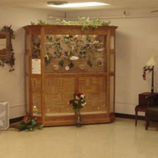 An antique display cabinet in a room with vintage decor.