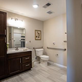 A modern bathroom featuring a vanity with a mirror, toilet, and handrails for accessibility.