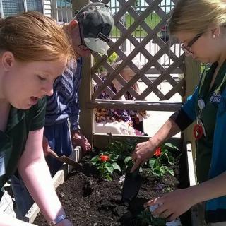 A group of people working together on a gardening project outside.
