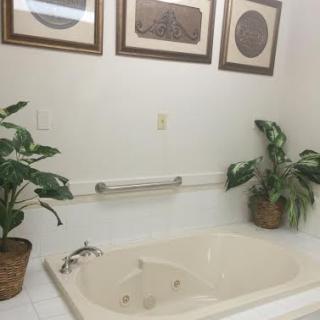 A bathroom with a large bathtub, potted plants, and framed artwork on the wall.