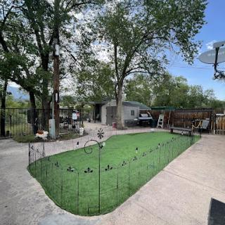 A serene backyard garden featuring lush green grass, surrounded by trees and equipped with a patio area.