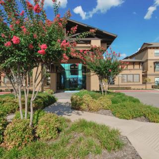 A suburban building with landscaped gardens and flowering trees under a clear blue sky.
