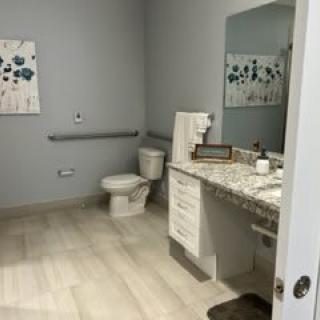 A modern bathroom with a granite countertop, sink, and toilet, featuring neutral decor.