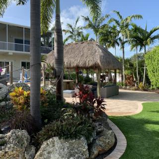 A tropical outdoor area with palms and a thatched-roof seating space.