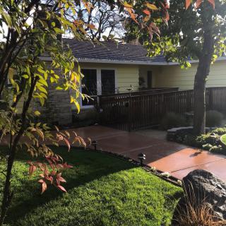 A cozy house with a sunny yard and well-maintained garden.