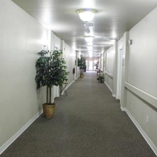 A long, well-lit hallway with carpeted flooring and potted plants along the walls.