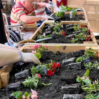 People engaging in a gardening activity with raised beds and various flowers.
