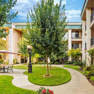 A beautifully landscaped residential courtyard featuring lush greenery and a winding pathway.