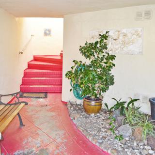A hallway featuring vibrant red stairs, a wooden bench, and various potted plants.
