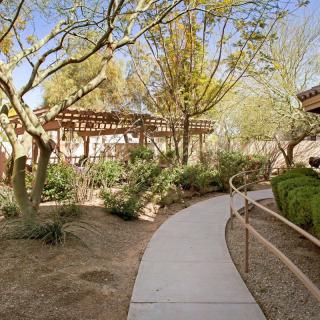 A winding pathway through a desert garden with trees and natural landscaping.