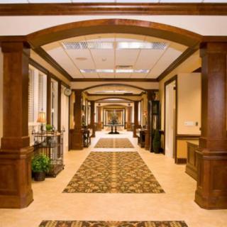 A stylish office hallway with wood paneling and decorative carpeting.