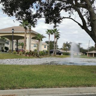 A tranquil residential scene featuring a fountain surrounded by palm trees and lush green grass under a cloudy sky.