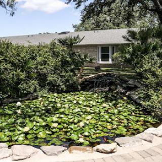 A serene garden pond with lily pads in front of a house surrounded by trees.