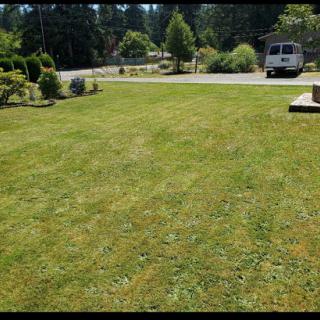 A well-maintained lawn with a vehicle parked nearby, surrounded by greenery.