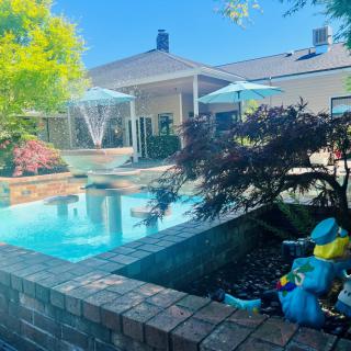 A serene backyard featuring a pool with surrounding greenery and a colorful sculpture.