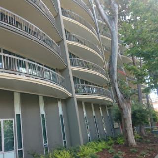 A modern residential building featuring rounded balconies, surrounded by lush greenery.