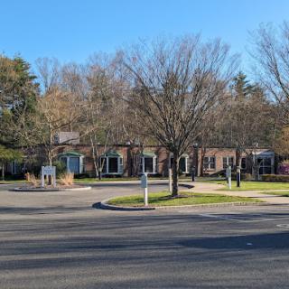A serene view of a residential area featuring trees and buildings under a bright blue sky.