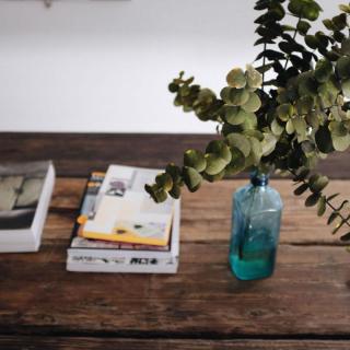 A neatly arranged coffee table featuring a stack of books and a blue vase with eucalyptus.