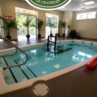 An indoor pool area with exercise equipment and lush palm plants creating a relaxing atmosphere.