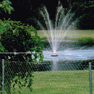 A scenic view of a pond with a central fountain surrounded by lush greenery and enclosed by a chain-link fence.