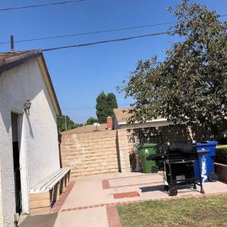 A sunny backyard patio area with a grill and recycling bins, surrounded by a tree and a house.