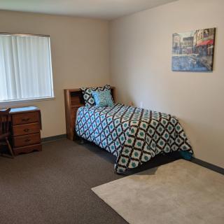 A minimalist bedroom with a single bed, desk, and decorative elements.