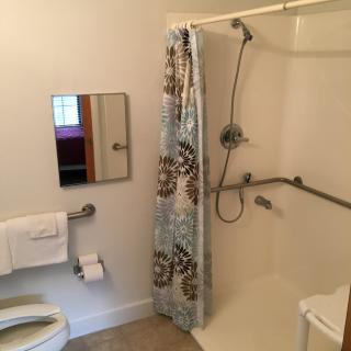 An accessible bathroom with a shower featuring grab bars, a patterned shower curtain, and basic amenities.