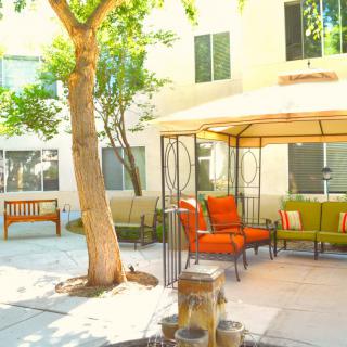 A cozy outdoor patio with a gazebo and colorful cushions under the shade of a tree.