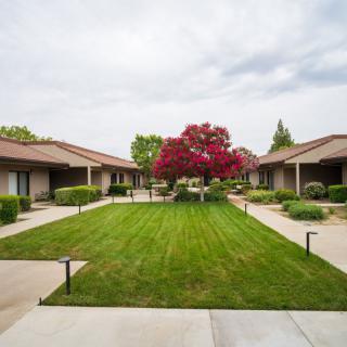 A peaceful courtyard with a grassy area surrounded by buildings and a prominent red tree in the center.