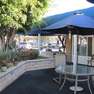 A sunny patio with a glass table, chairs, and an umbrella surrounded by a garden.
