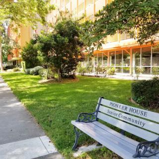 A peaceful outdoor area featuring a bench surrounded by lush greenery and a modern building.