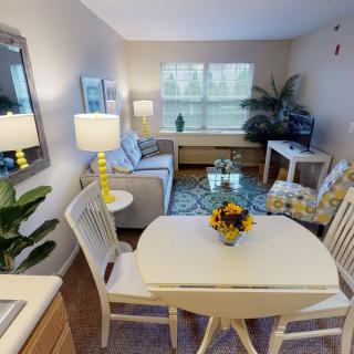 A cozy living and dining area with a stylish interior, featuring a sofa, dining table, and decorative plants.
