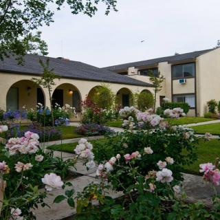 A beautiful garden with blooming flowers in front of an arched building.