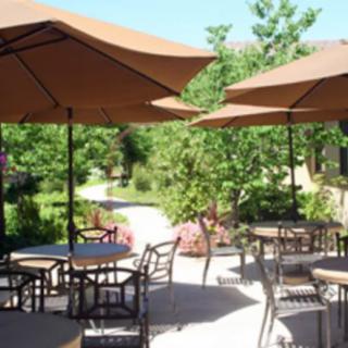A tranquil outdoor patio with tables, chairs, and umbrellas in a lush garden setting.
