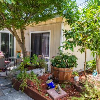 A cozy garden patio with lush plants and outdoor seating by the house.
