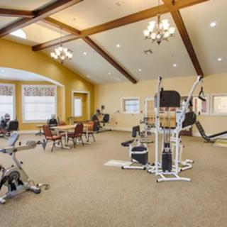 A bright and spacious gym with various exercise equipment and cardio machines.