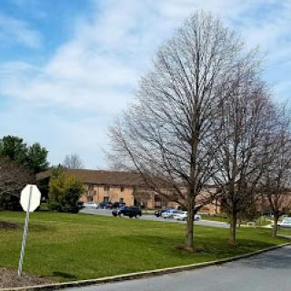A peaceful suburban scene featuring trees, a grassy area, and a low-rise building under a partly cloudy sky.