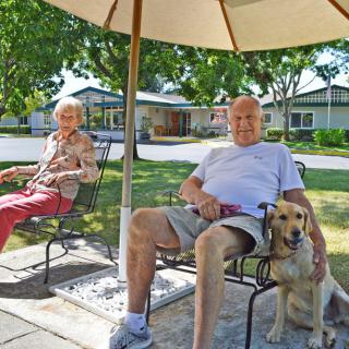 An elderly couple sitting outdoors under a sunshade with their dog.