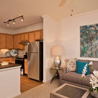 A modern open-concept apartment with a cozy living room and kitchen featuring wood flooring and stainless steel appliances.