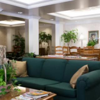 A cozy living room with green sofas and abundant indoor plants.