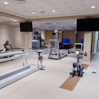 A modern gym space featuring various exercise machines for a complete workout experience.