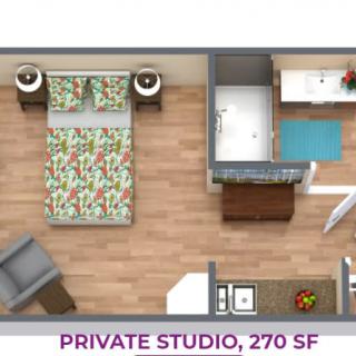 A floor plan of a private studio apartment measuring 270 square feet, featuring a bedroom, bathroom, and kitchen area.
