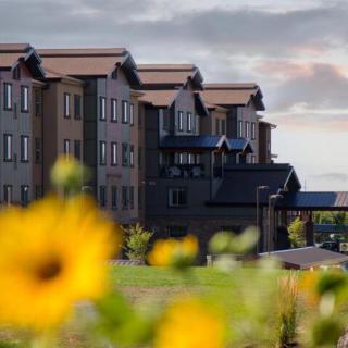 A picturesque view of an apartment building with sunflowers in the foreground.
