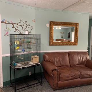 A cozy living room featuring a brown leather sofa, a decorative mirror, and a bird cage next to wall art.