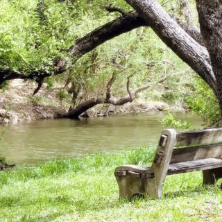 A peaceful park scene with a bench overlooking a quiet river surrounded by lush green trees.