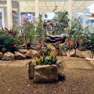 A serene indoor garden featuring a variety of plants and flowers surrounded by decorative rocks.
