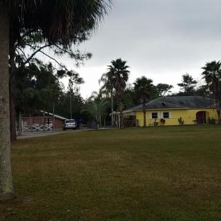 A yellow house surrounded by palm trees under an overcast sky.
