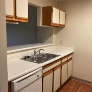A simple kitchen with a sink, cabinets, and a dishwasher.