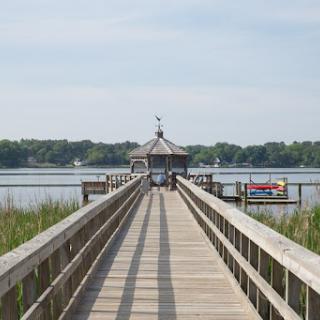 A serene view of a wooden pier extending over calm waters, surrounded by lush greenery.