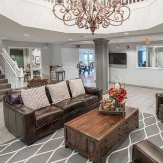 A cozy and modern living room with a leather sofa, wooden coffee table, and an elegant chandelier.